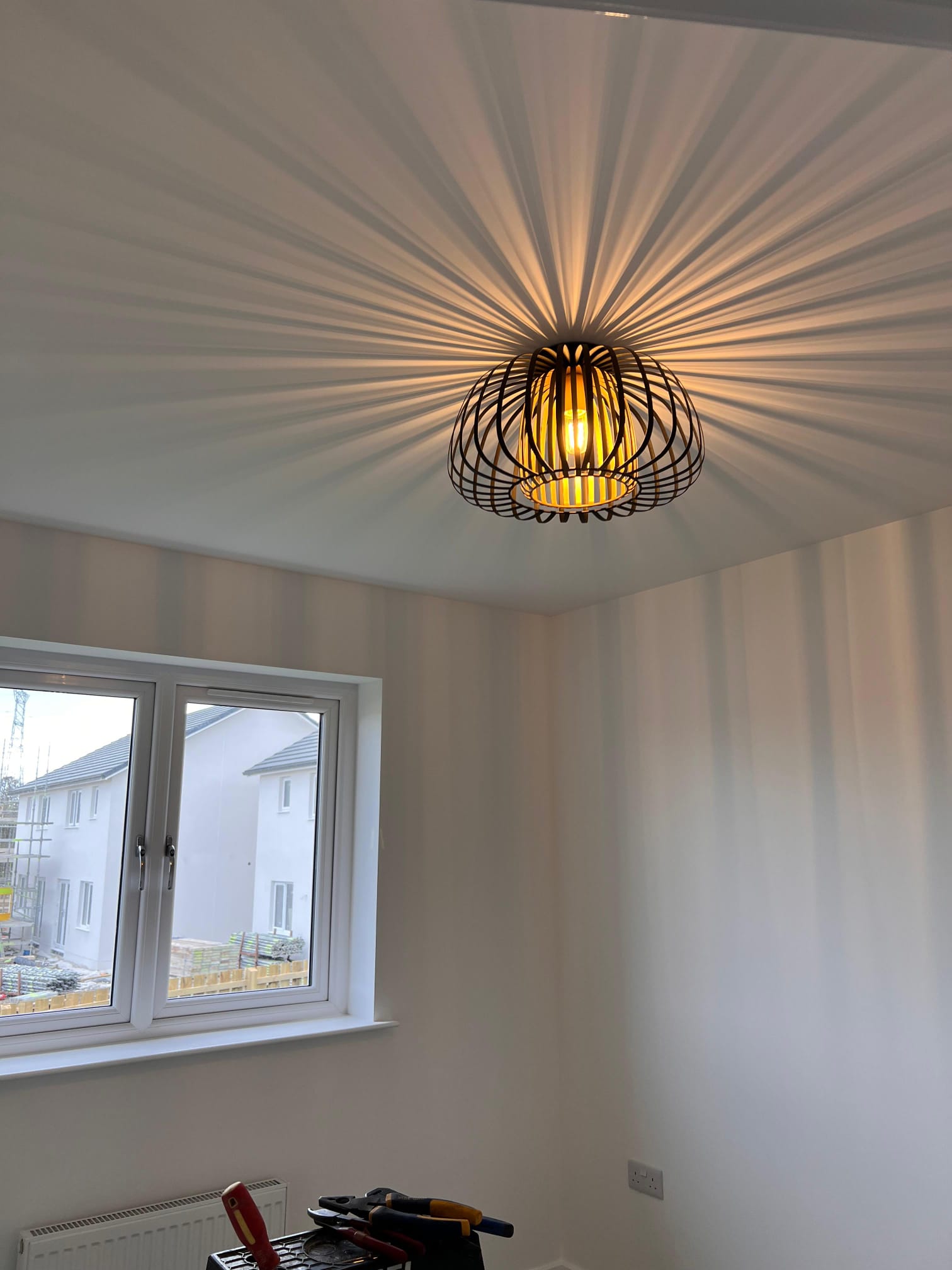 A serene indoor setting, bathed in soft light filtering through a window on the left wall